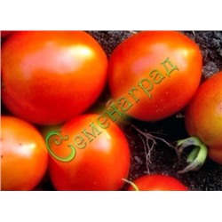 Семена томатов Анжелика (20 семян) Семенаград (Россия)