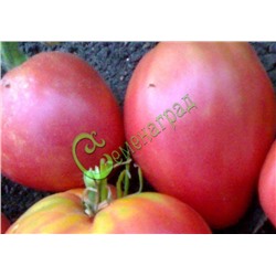 Семена томатов Сердце буйвола - 20 семян Семенаград (Россия)