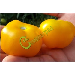 Семена томатов Ребристый жёлтый - 20 семян Семенаград (Россия)