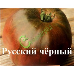 Семена томатов Русский черный, 20 семян Семенаград (Россия)