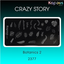 Botanics 2, пластина для стемпинга «Crazy story» Kapous, шт