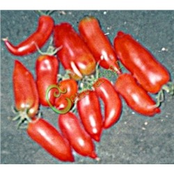 Семена томатов Перцевидный красный - 20 семян Семенаград (Россия)