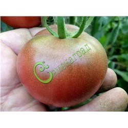 Семена томатов Родственница - 20 семян Семенаград (Россия)