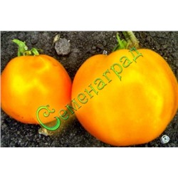 Семена томатов Бычье сердце оранжевый (20 семян) Семенаград (Россия)