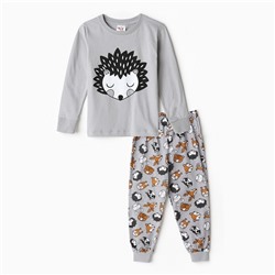 Пижама для мальчика (лонгслив/штанишки), цвет серый/ёжик, рост 98см