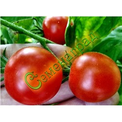Семена томатов Гаврош (20 семян) Семенаград (Россия)
