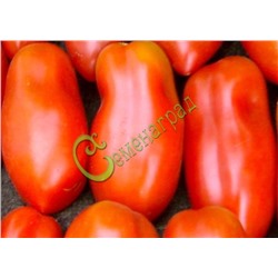 Семена томатов Сан Марцано-3, 20 семян Семенаград (Россия)