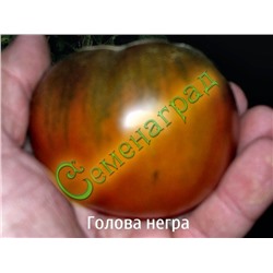 Семена почтой томат Голова негра (20 семян) Семенаград (Россия)