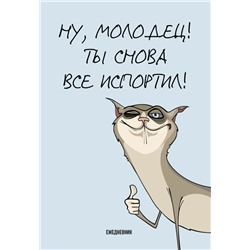 Ты снова все испортил! Ежедневник недатированный (А5, 72 л.)