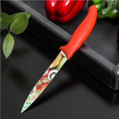 Нож кухонный с антиналипающим покрытием Доляна «Урожай» универсальный, лезвие 12,5 см