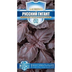 Базилик Русский гигант, фиолетовый 0,1 г серия Русский богатырь (цена за 2 шт)