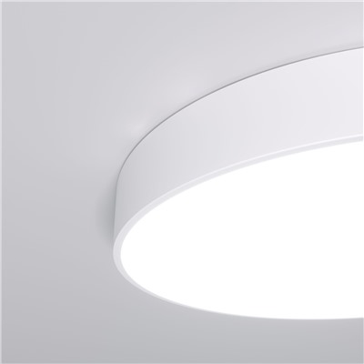 Потолочный светодиодный светильник с регулировкой яркости и цветовой температуры
                     Eurosvet  90319/1 белый
