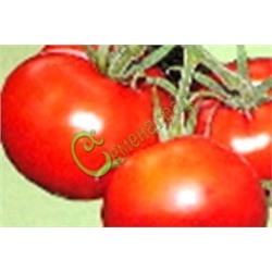 Семена томатов Американский широколистный - 20 семян Семенаград (Россия)