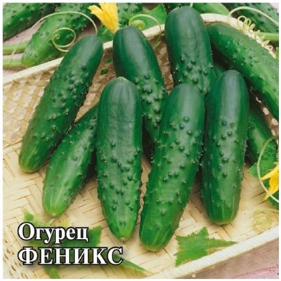 Огурец Феникс  10,0 г (цена за 1 шт)