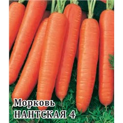 Морковь Нантская 4  25,0 г (цена за 1 шт)