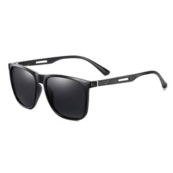 IQ30051 - Солнцезащитные очки ICONIQ TR3333 Bright black gray sheet C01-P01