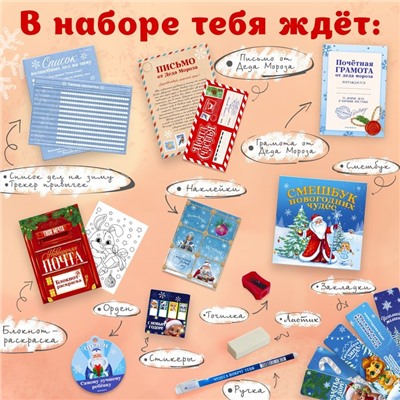 Подарочный набор новогодний 12 предметов «Новогодняя посылка»