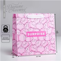 Пакет подарочный ламинированный квадратный, упаковка, Surprise, 22 х 22 х 11 см