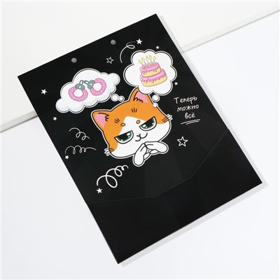 Конверт для денег, открытка на День Рождения «Поздравительная», с котом, 6 листов, 16,3 х 21,3 см