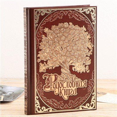 Родословная книга в шкатулке «Древо семьи», 56 листов, 20 х 26 см.