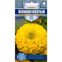 Цинния Великан желтый (Код: 84697)