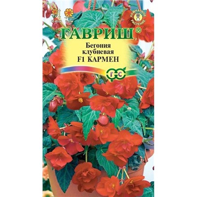 Бегония Кармен F1 клубневая, амп. гранул. 4 шт. пробирка (цена за 2 шт)