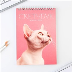 Скетчбук А5, 40 л 100 г/м2 «Кошка»