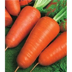 Морковь Курода Шантанэ 25,0 г (цена за 1 шт)