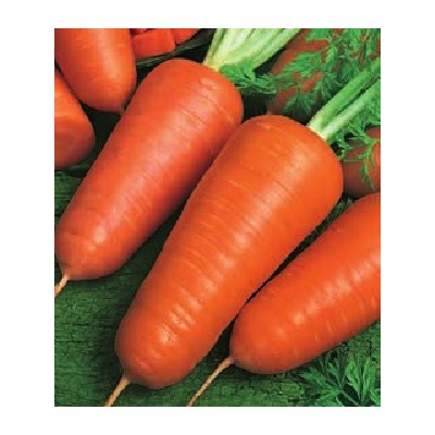 Морковь Курода Шантанэ 25,0 г (цена за 1 шт)
