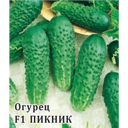 Огурец Пикник F1 100 шт. пикуль (цена за 1 шт)