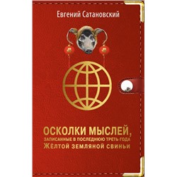 Осколки мыслей, записанные в последнюю треть года Желтой Земляной Свиньи Сатановский Е.Я.