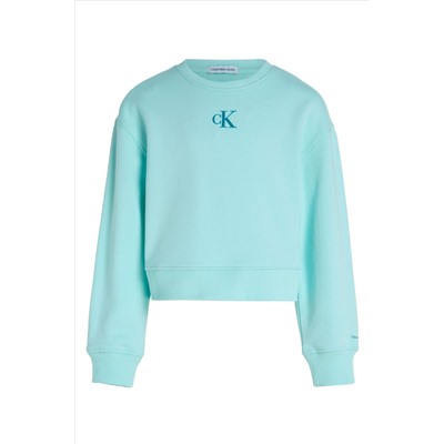 Calvin Klein Blue Logo Sweatshirt