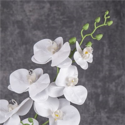 Цветок искусственный 90 см Орхидея с корнем / GT41-11 /уп 32/192/