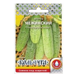 Огурец Нежинский, семена Русский огород кольчуга 0,5г (цена за 2 шт)