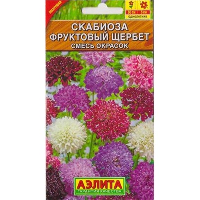 Скабиоза Фруктовый щербет (Код: 11759)