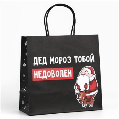 Пакет подарочный новогодний «Подарок, который ты заслужил», 22 х 22 х 11 см