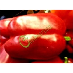 Семена сладкого перца Красный телец - 10 семян Семенаград (Россия)