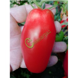 Семена томатов Большая девка - 20 семян Семенаград (Россия)