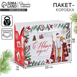 Пакет - коробка «Дедушка Мороз», 23 х 18 х 11 см, Новый год