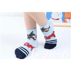 Детские носки для мальчиков 24.04
