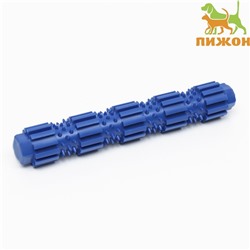 Игрушка жевательная для собак "Палка с шипами", TPR, 18 см, синяя