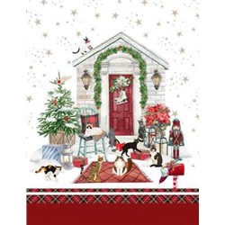 Плед Plaid Christmas in morbido pile Effetto Cashemire 145x170  lato sup. stampato interno in falda di poliestere gr. 60 m² lato inf. tinta unita