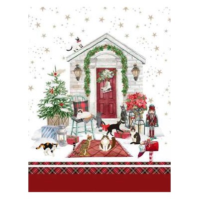 Плед Plaid Christmas in morbido pile Effetto Cashemire 145x170  lato sup. stampato interno in falda di poliestere gr. 60 m² lato inf. tinta unita