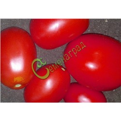 Семена томатов Аргентинская сливка розовая - 20 семян Семенаград (Россия)