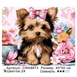 PH 40х50 CWA8674