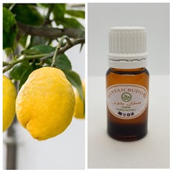 39 Эфирное масло Лимон испанский Citrus limon, 5 мл