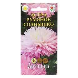 Семена Цветов Астра "Румяное Солнышко", 0 ,2 г