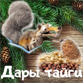 Дары тайги: кедровый орех, вакуумная фасовка удобных объемов, джемы из ягод