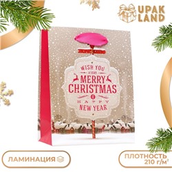 Пакет ламинированный "Новогодний позитив" 11,5 х 14,5 х 6 см