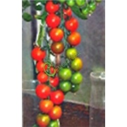 Семена томатов Американский сладкий красный - 20 семян Семенаград (Россия)